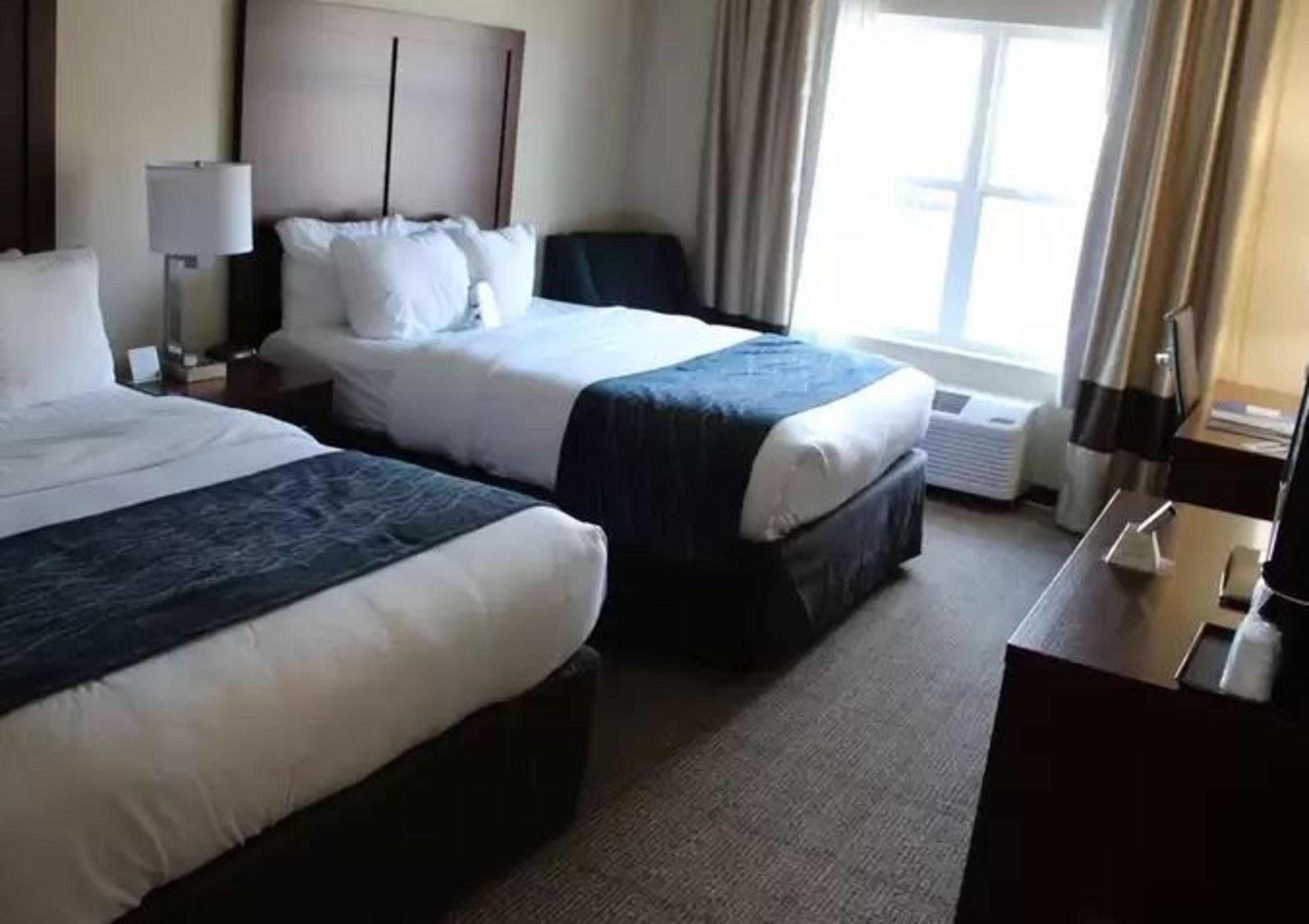 Comfort Inn & Suites Northern Kentucky Wilder Kültér fotó