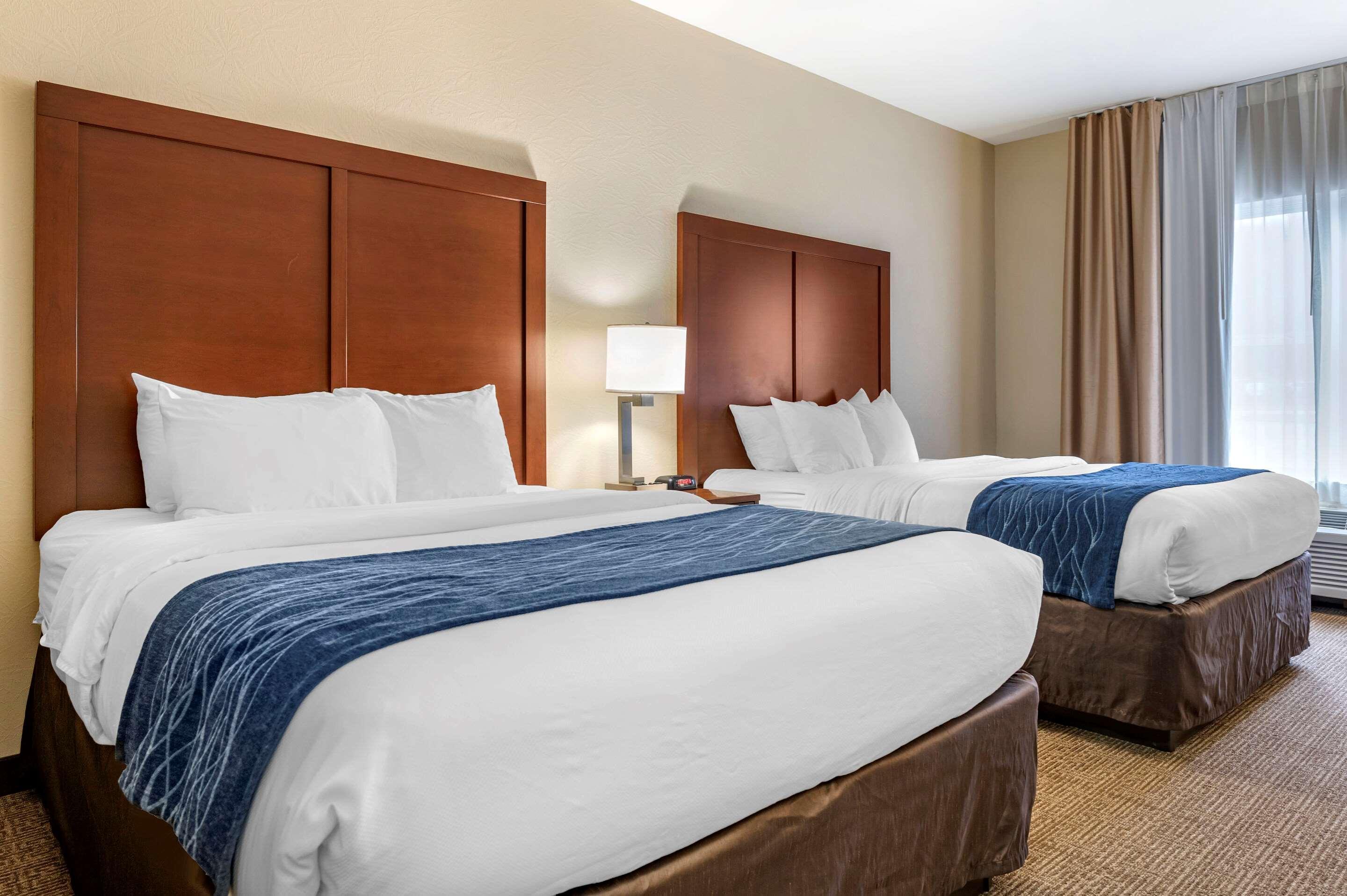 Comfort Inn & Suites Northern Kentucky Wilder Kültér fotó